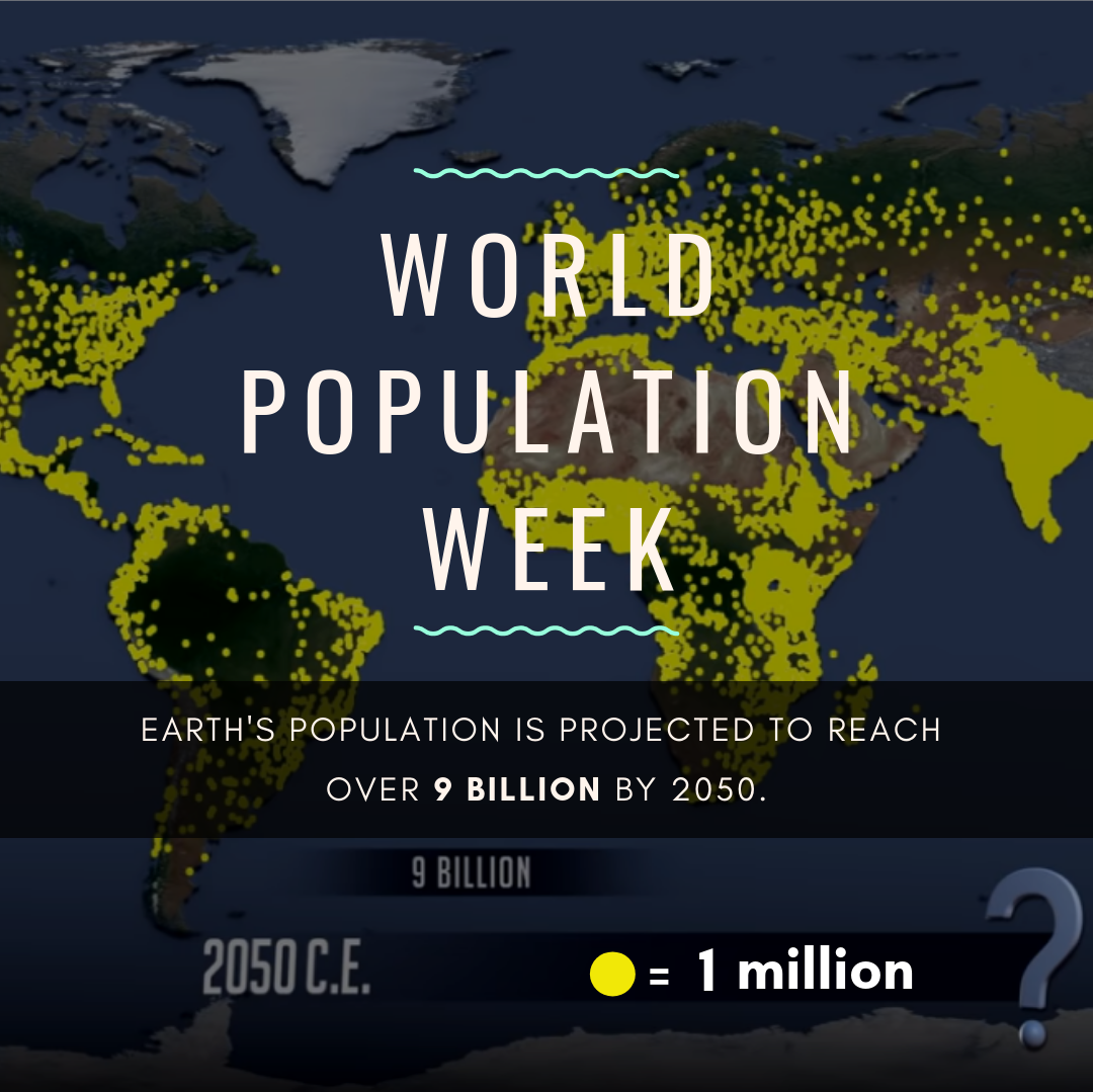 world_population_week_monday