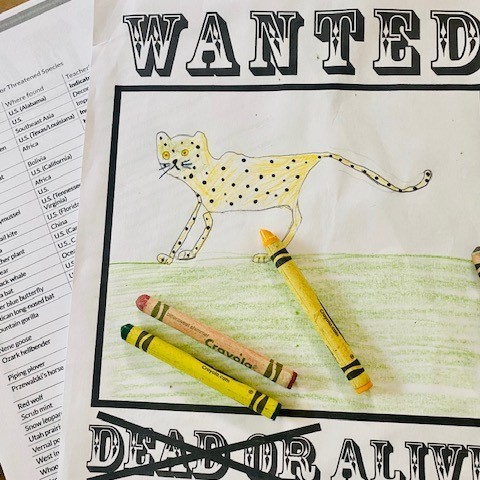Extinction Lessons_Wanted poster_Cheetah
