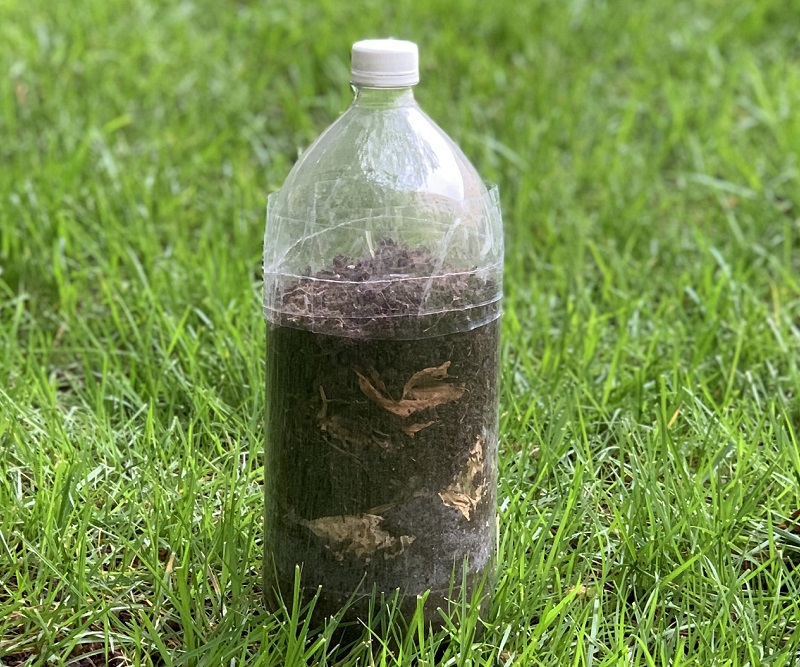 Scraps into Soil_compost bottle model