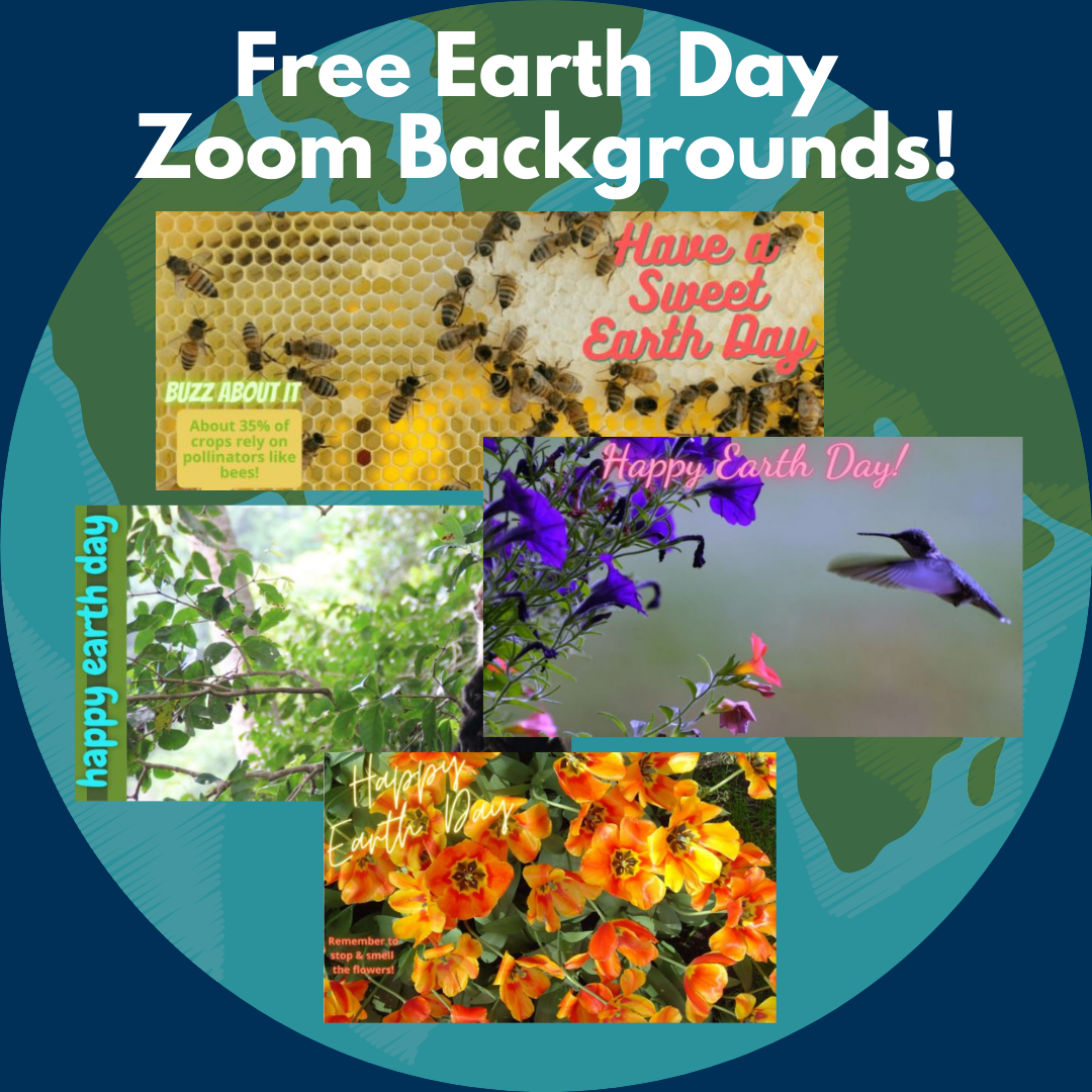 Free Downloadable Earth Day Zoom Backgrounds