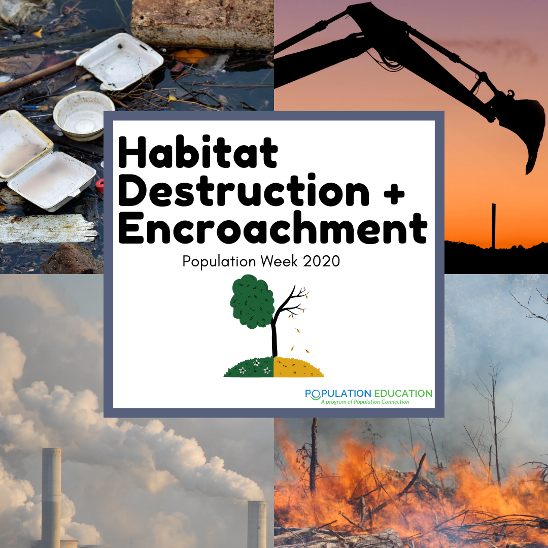 Habitat_Destruction_PopWeek2020
