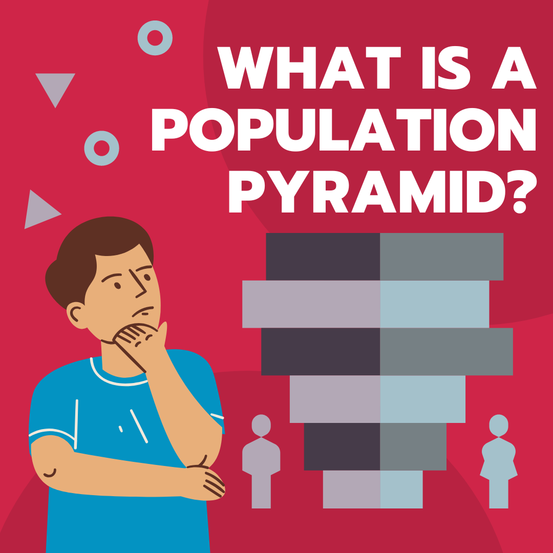 Visual of a population pyramid and a boy asking, "what is a population pyramid?"